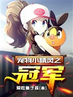 Pokémon chi quán quân