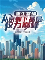 Trọng sinh quan trường: Từ kinh đô hạ cơ sở quyền lợi đỉnh